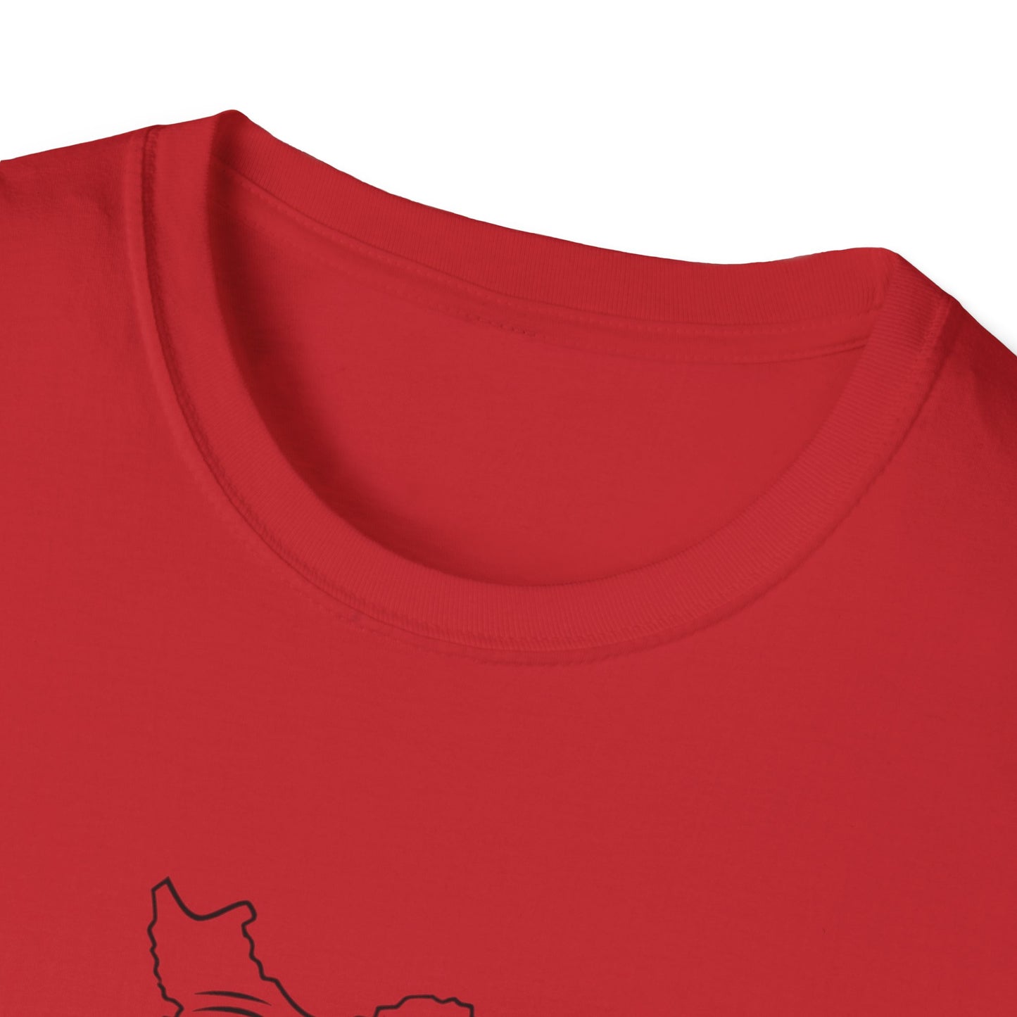 Political Satire T-Shirt — "I-Ran" From The Epstein Files Cartoon Design Trump